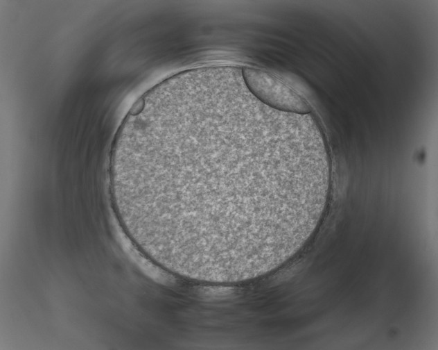 X0000115541431200912181519