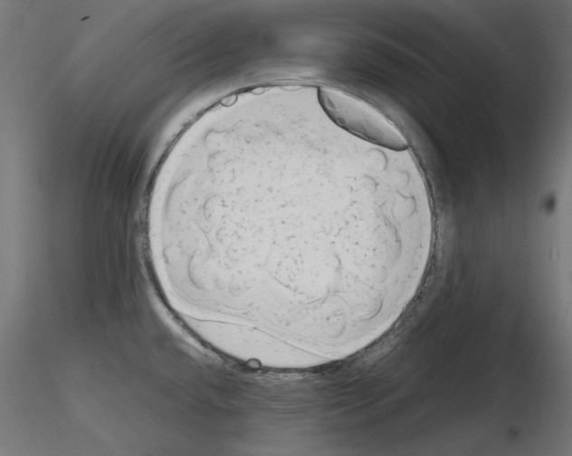 X0000115541432200912181519