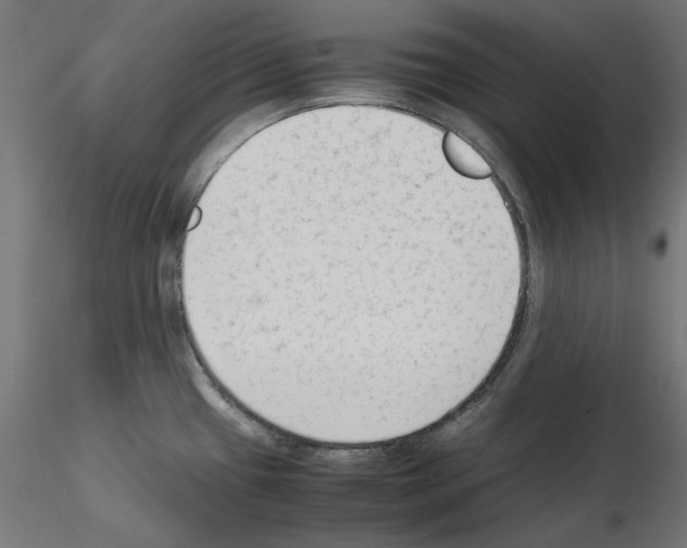 X0000115541433200912181519