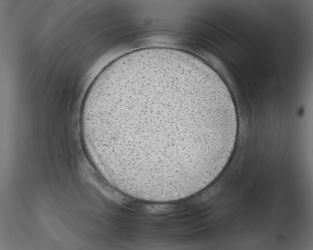 X0000115541435200912181519