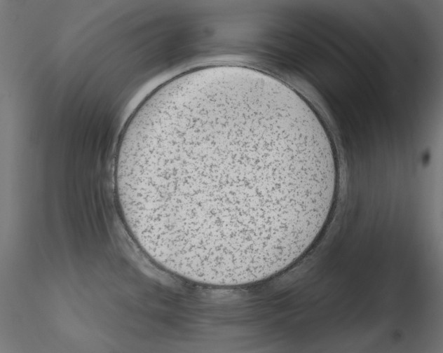 X0000115541436200912181519