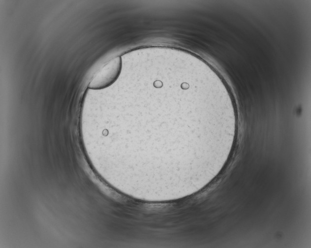 X0000115541437200912181519