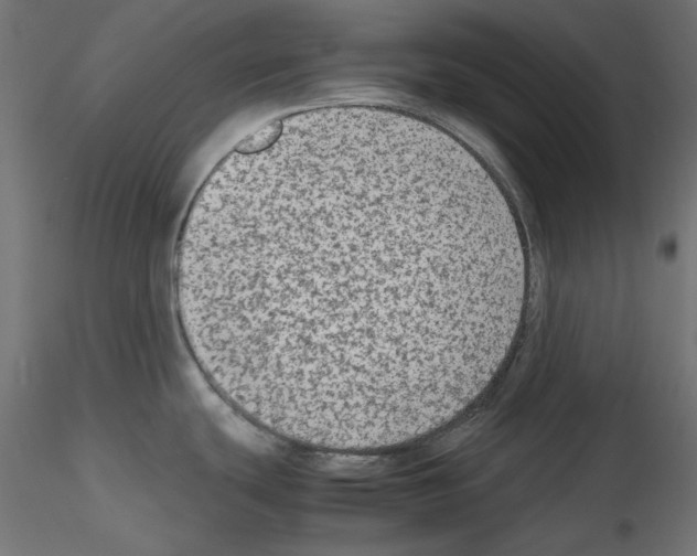 X0000115541439200912181519