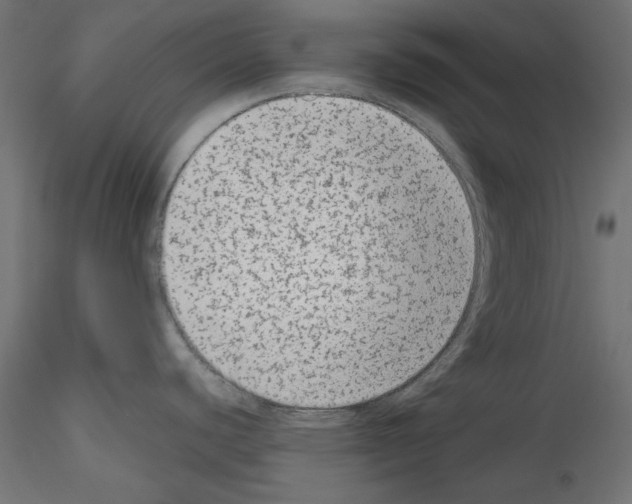 X0000115541440200912181519