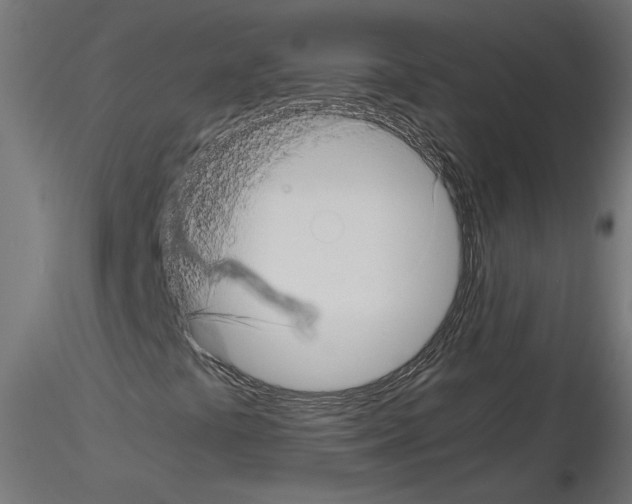 X0000115541441200912181518