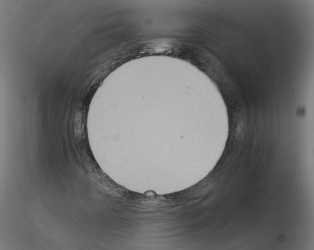 X0000115541442200912181518