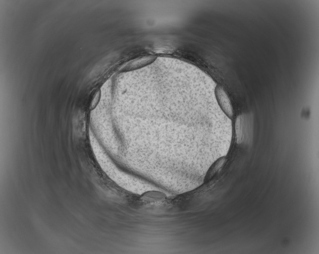 X0000115541443200912181518