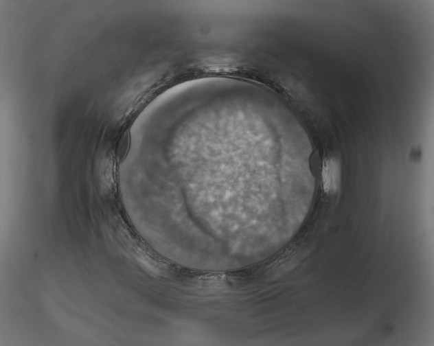 X0000115541444200912181518