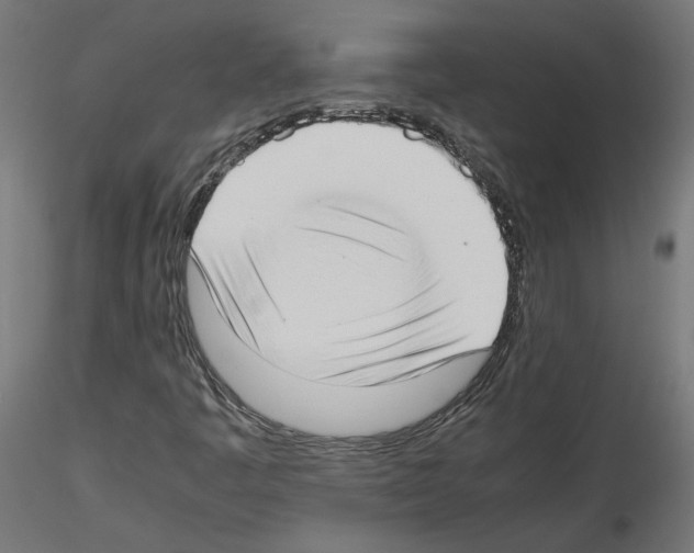 X0000115541445200912181518