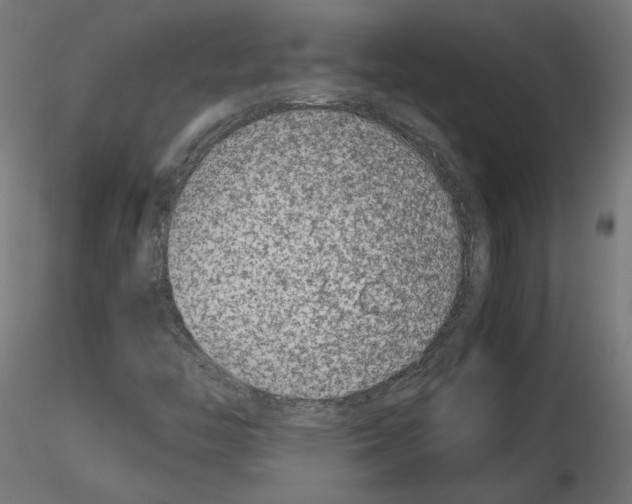 X0000115541446200912181518