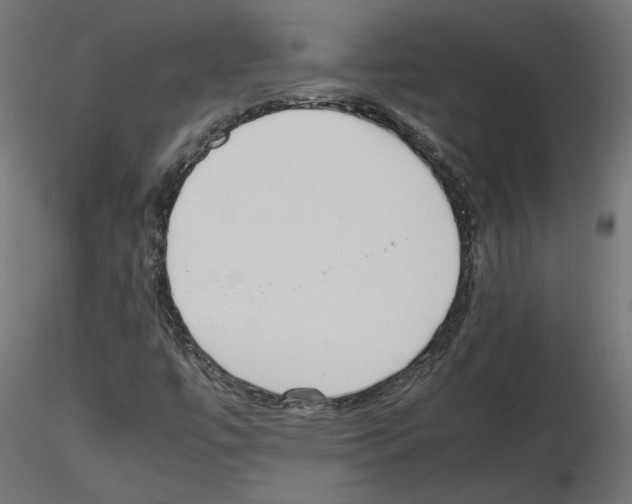 X0000115541447200912181518