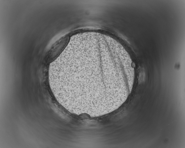 X0000115541448200912181518