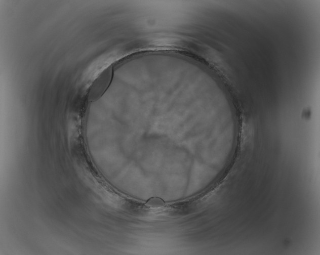 X0000115541449200912181518