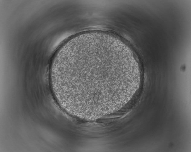 X0000115541450200912181518