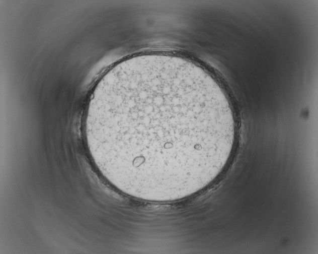 X0000115541451200912181518