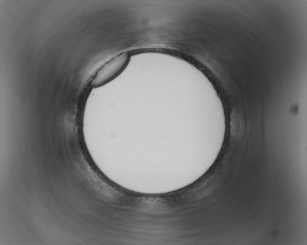 X0000115541452200912181518