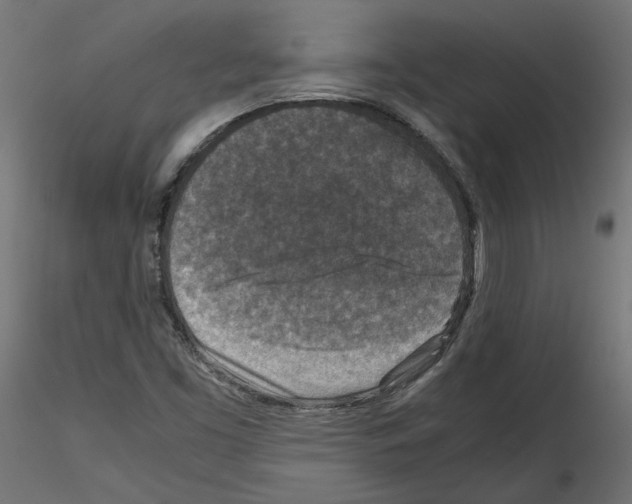 X0000115541453200912181518