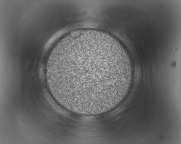 X0000115541454200912181518