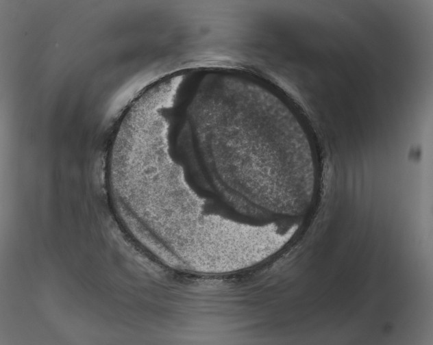 X0000115541455200912181518