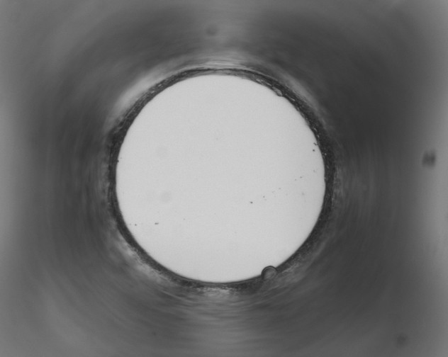 X0000115541456200912181518