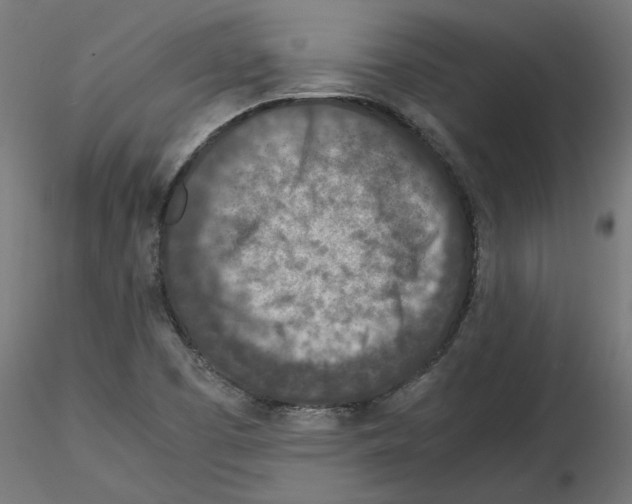 X0000115541457200912181518