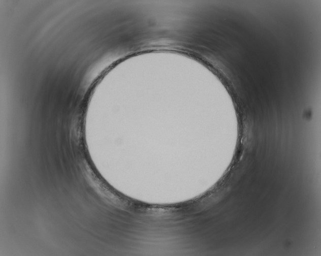 X0000115541458200912181518