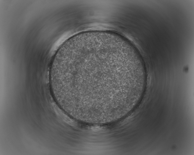 X0000115541459200912181518