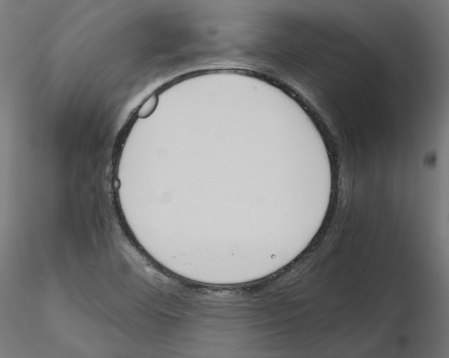 X0000115541460200912181518