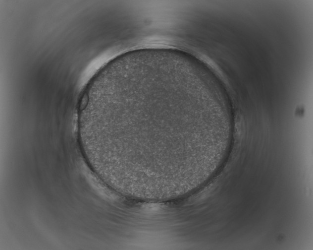 X0000115541461200912181518