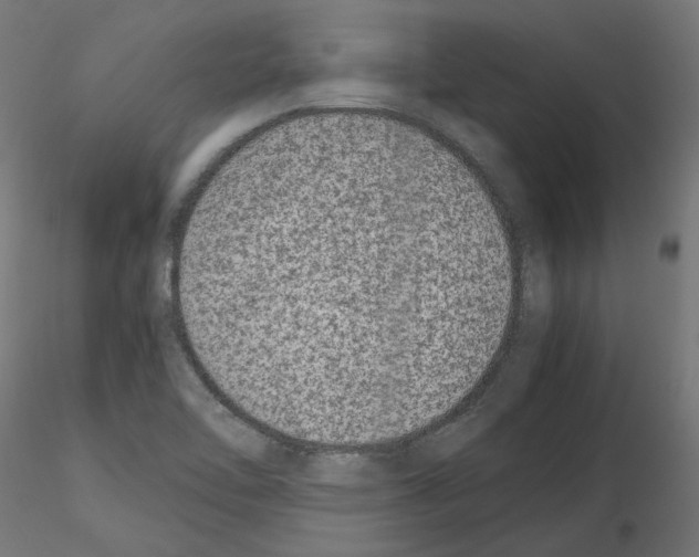 X0000115541462200912181518