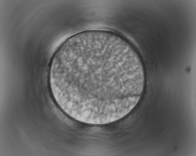 X0000115541463200912181518