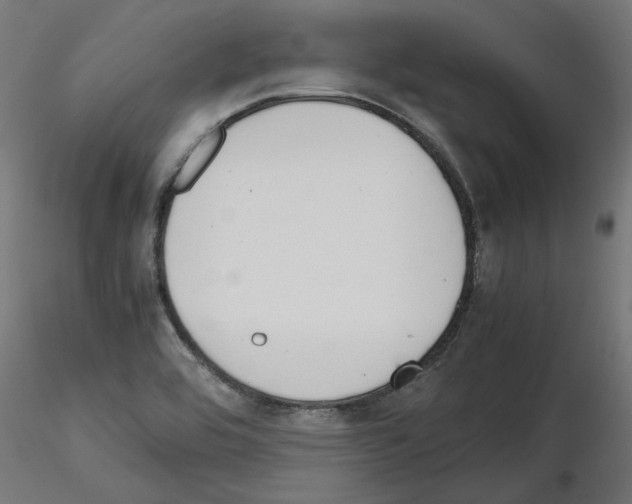 X0000115541464200912181518