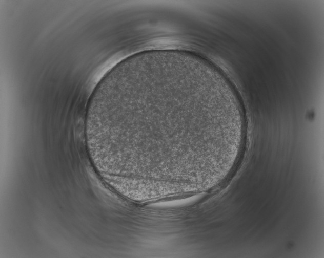 X0000115541465200912181518