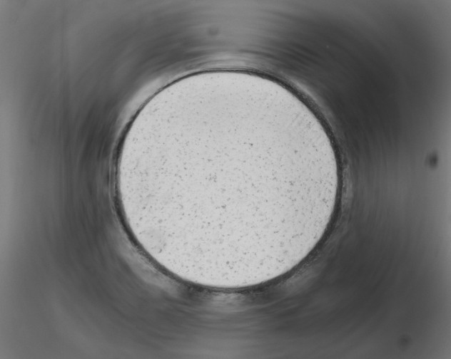 X0000115541467200912181518