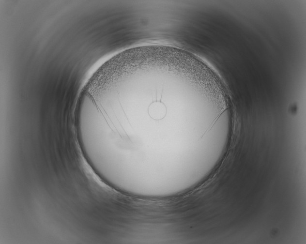 X0000115541468200912181518