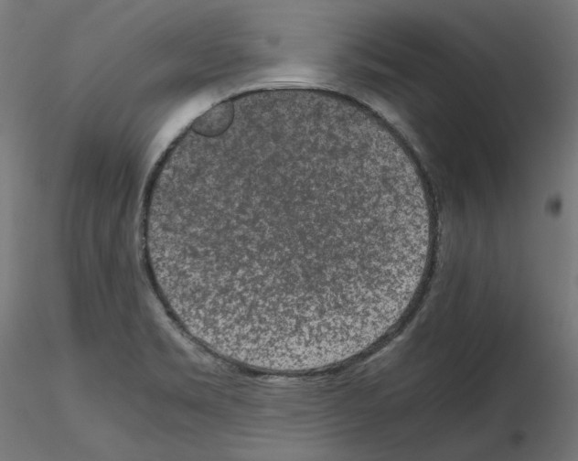 X0000115541469200912181518