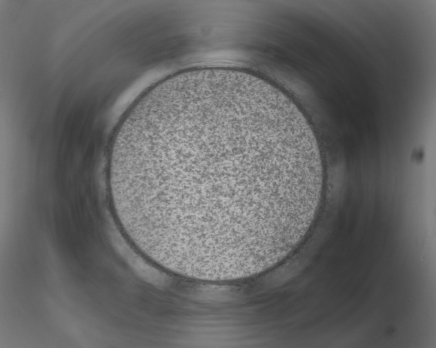 X0000115541470200912181518