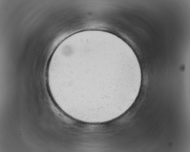 X0000115541471200912181518