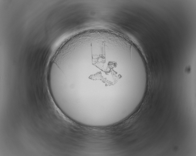 X0000115541472200912181518