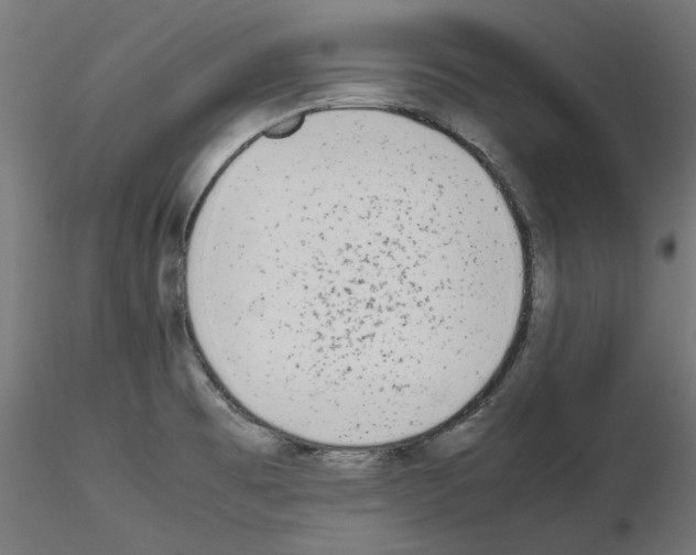 X0000115541473200912181518