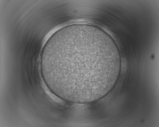 X0000115541474200912181518