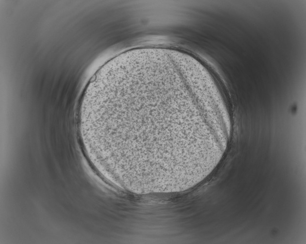 X0000115541475200912181518