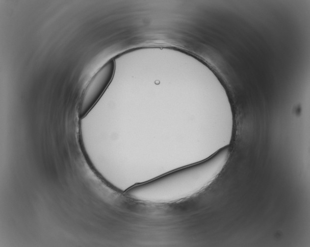 X0000115541476200912181518