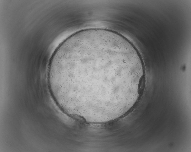 X0000115541477200912181518