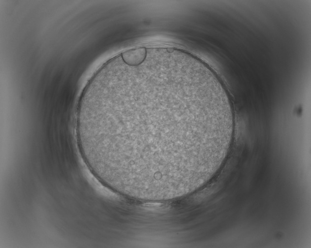 X0000115541478200912181518