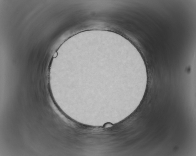 X0000115541479200912181518