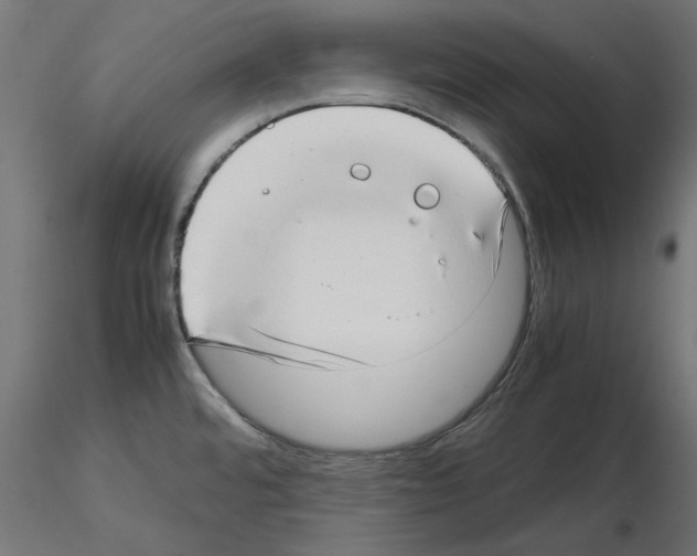 X0000115541480200912181518