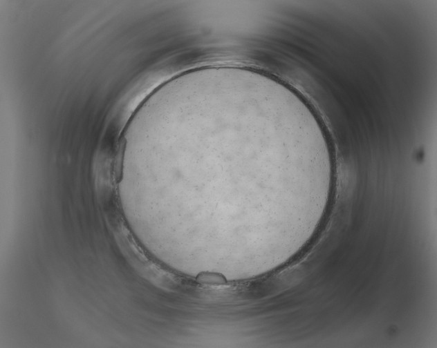 X0000115541481200912181518