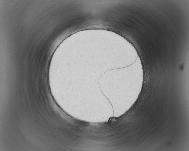 X0000115541483200912181517