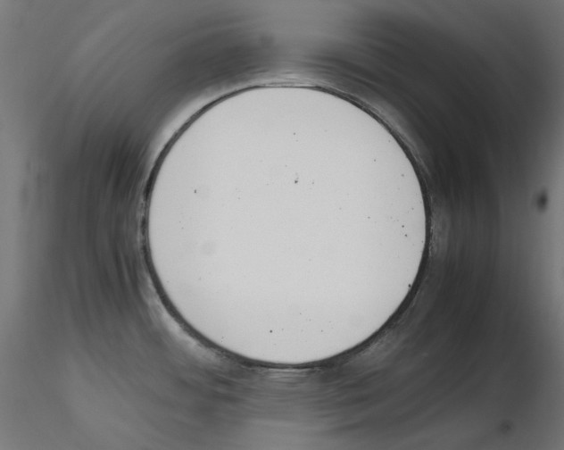 X0000115541484200912181517